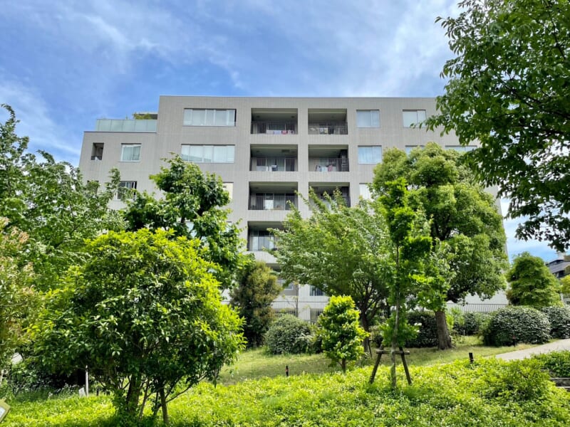 センチュリーフォレスト