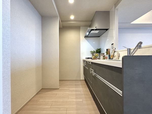 ブリリア品川中延_システムキッチンの写真