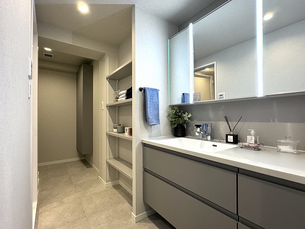 パレス池田山_洗面室の写真