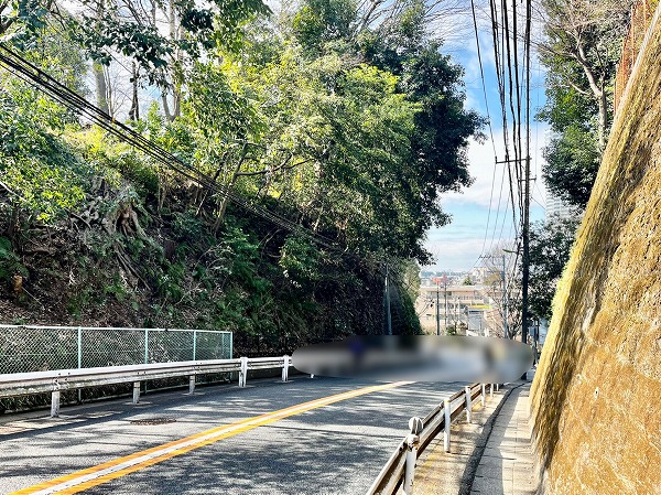 『上野毛シティハウスサウステラス』までの道のり