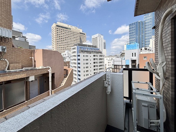 日神パレステージ西池袋_西向きのバルコニーの写真