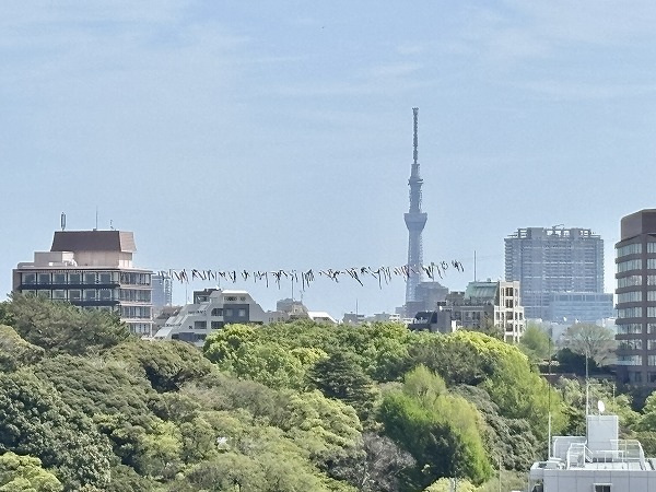 西早稲田シティタワー_東京スカイツリーの写真