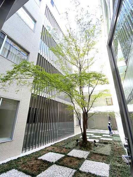 神宮前五丁目ブランシェ　共用部