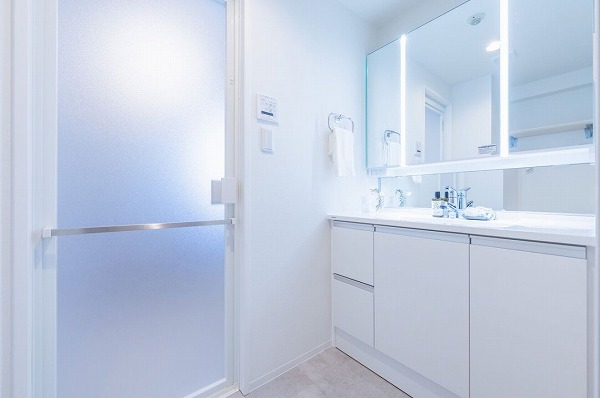 リシェ等々力_サニタリールームの写真