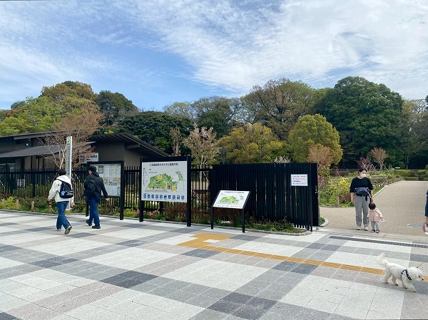 田園調布せせらぎ公園