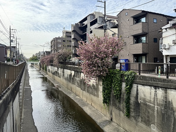 呑川