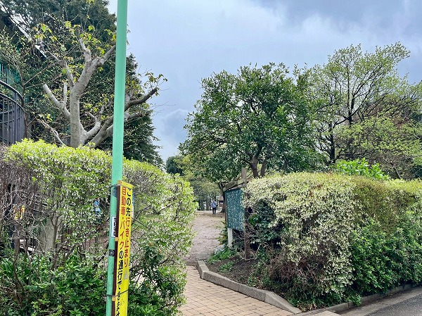  世田谷区立駒沢緑泉公園