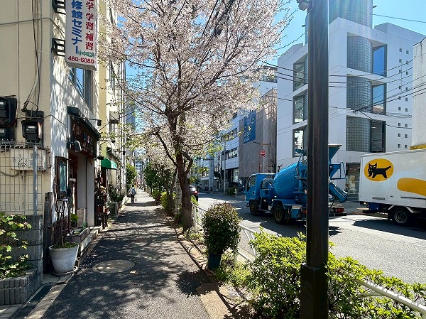 マンション周辺