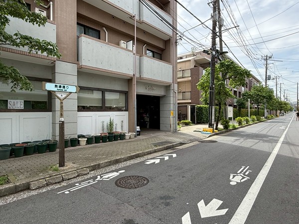 駒場通り