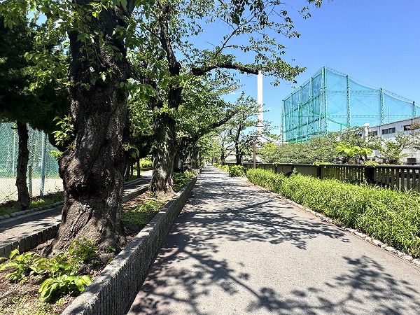 目黒川沿いの緑道