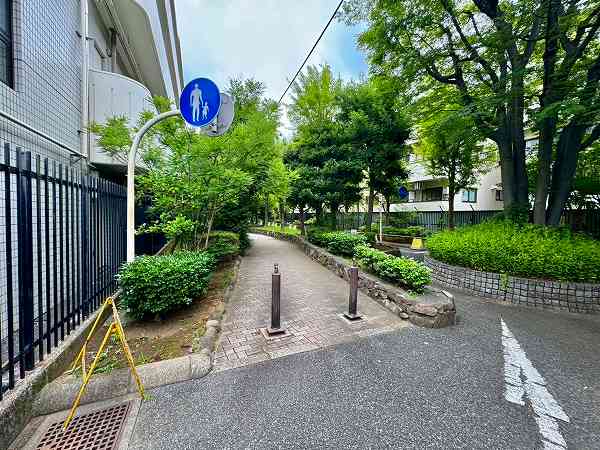 洲崎川緑道尾
