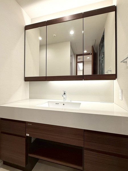 ロイヤルシーズン六本木_洗面化粧台の写真