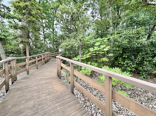 文京区立千石緑地