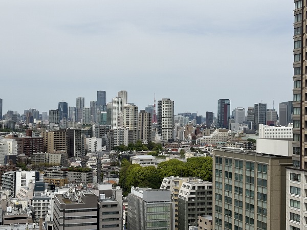ル・サンク大崎シティタワー_バルコニー眺望の写真1