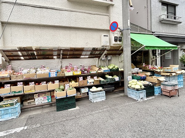 八百菊商店