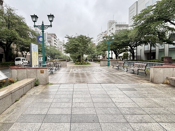 播磨坂さくら並木