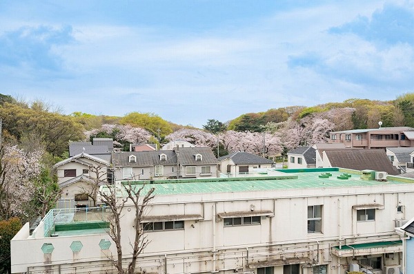 ハイホーム砧公園_眺望の写真