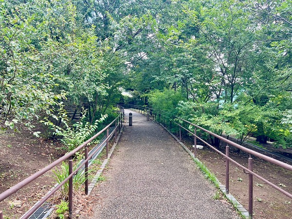 世田谷区立太子堂円泉ヶ丘公園