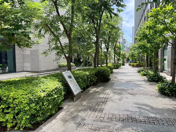緑道