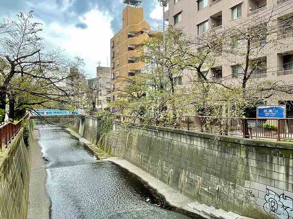 目黒川