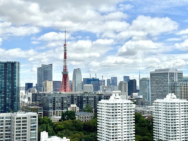 ザ・パークハウス三田ガーデンタワー棟_東京タワービューの写真