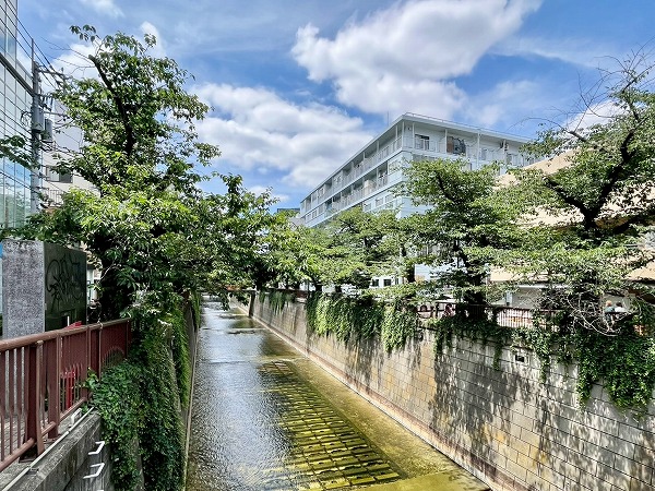 目黒川