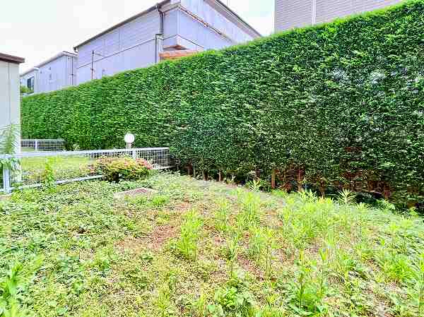 パーク・ハイム桜新町_専用庭の写真