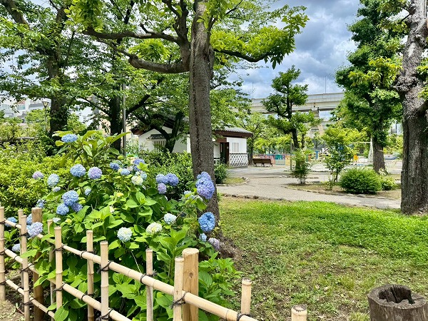 深川公園