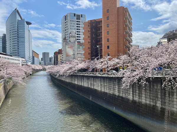 目黒川