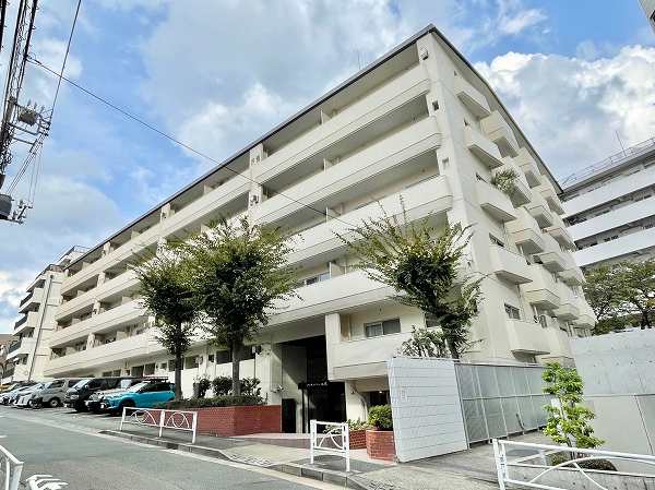 ゾンネンハイム大橋　外観