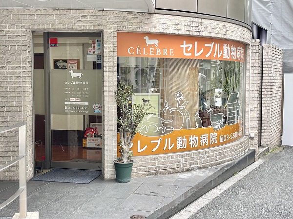 セレブル動物病院