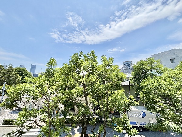 シャトー東洋_自然を感じられる眺望の写真