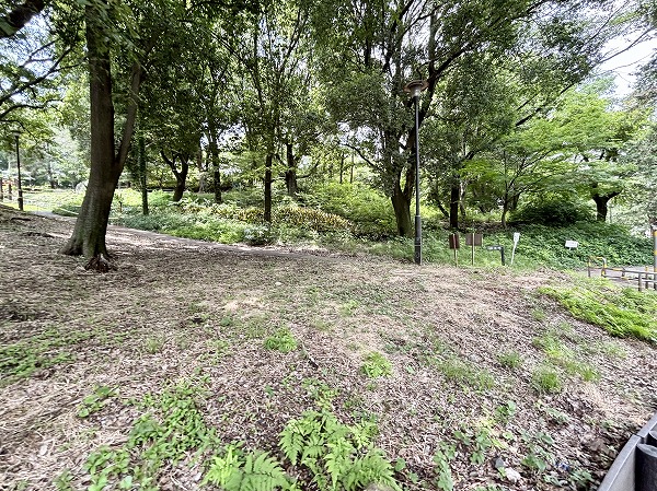 戸山公園2