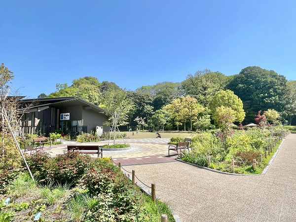 田園調布せせらぎ公園1