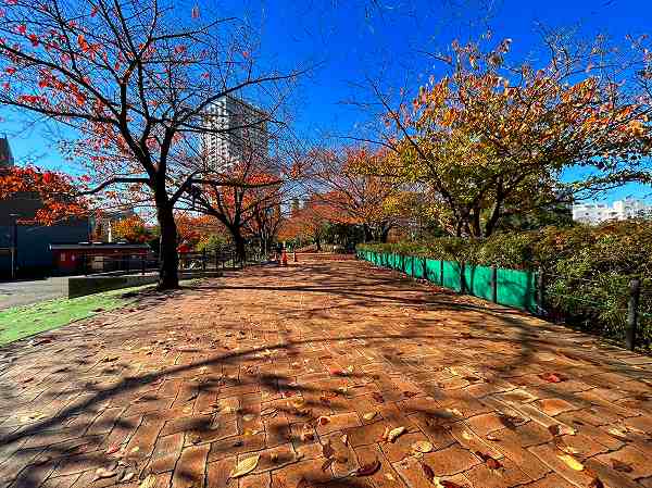 東品川海上公園