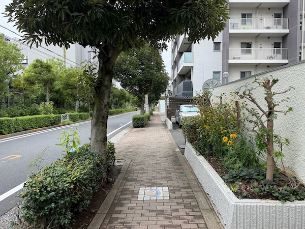 プレシス東陽町前の歩道