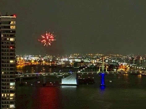 THE TOKYO TOWERS SEA TOWER(ザトーキョータワーズシータワー)_夜景の写真1