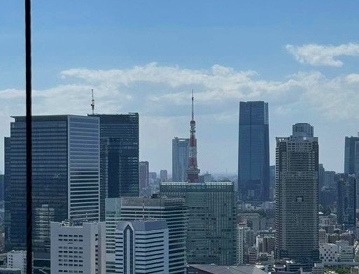 THE TOKYO TOWERS SEA TOWER(ザトーキョータワーズシータワー)_バルコニーからの眺望の写真2
