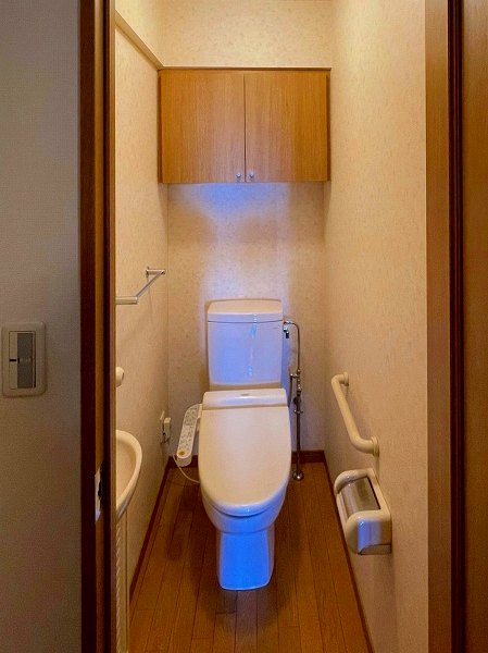 代官山アドレスザ・タワー_シンプルなトイレの写真