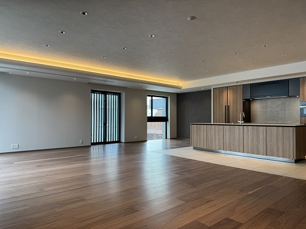 パレロワイヤル市ヶ谷_リビングダイニングキッチンの写真3