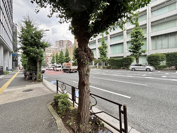 壱岐坂通り