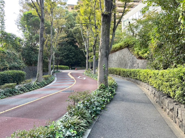 緑道