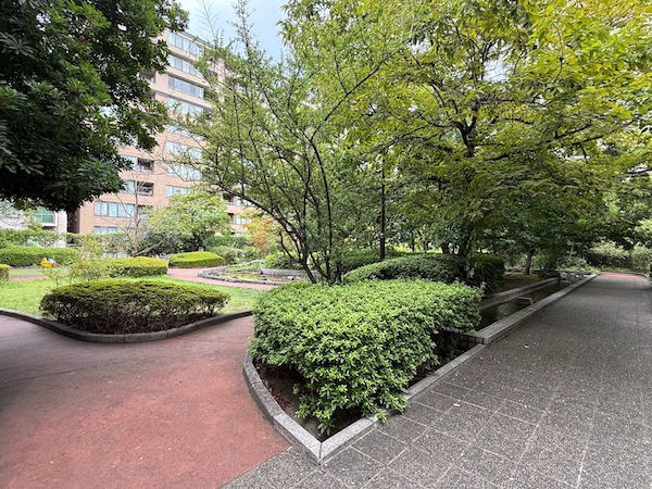 広場