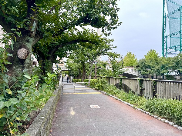 目黒川沿いの緑道