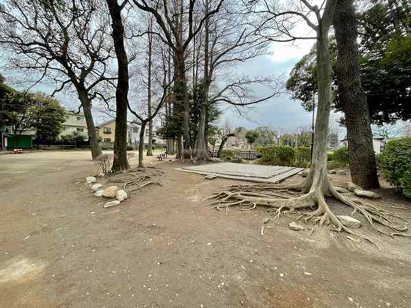 碑文谷公園1