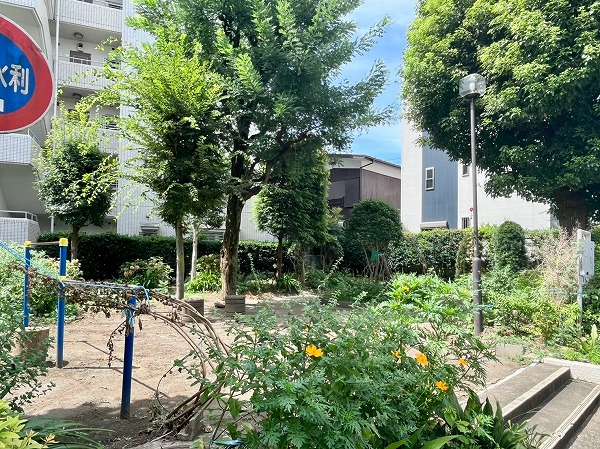 みどりの広場
