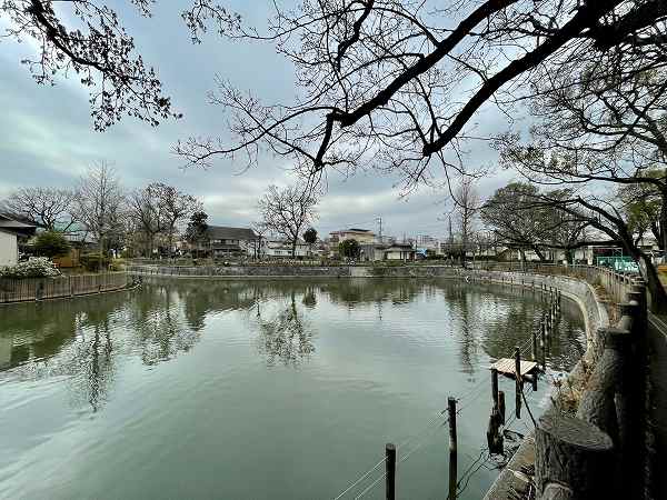 碑文谷公園2