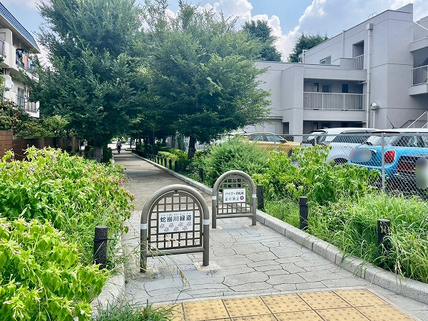 蛇崩川緑道