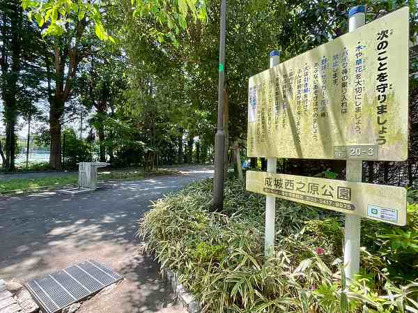 公園