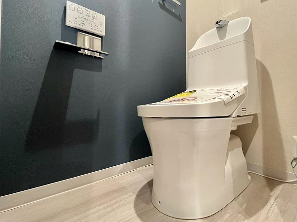 中銀第2世田谷マンシオン_シックなトイレの写真